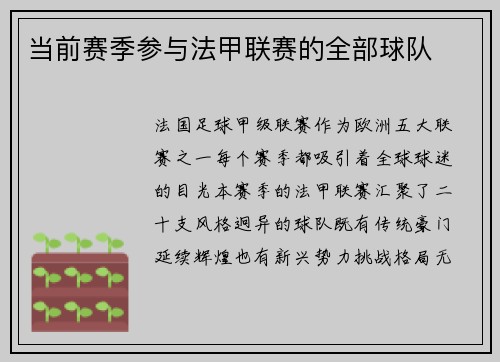 当前赛季参与法甲联赛的全部球队